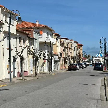 Apartamento T2 Cosy Avec Jardin Barcares Village