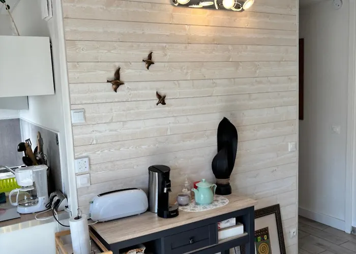 Apartamento T2 Cosy Avec Jardin Barcares Village